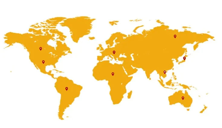 Marketing Network